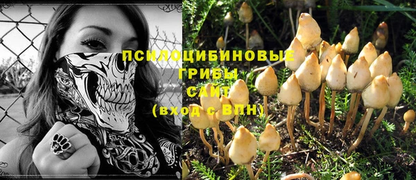 стафф Алзамай