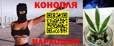 сатива Краснознаменск