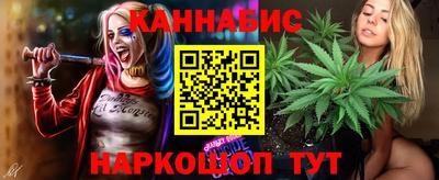 сатива Краснознаменск