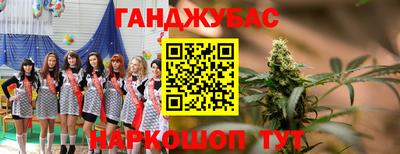 сатива Краснознаменск