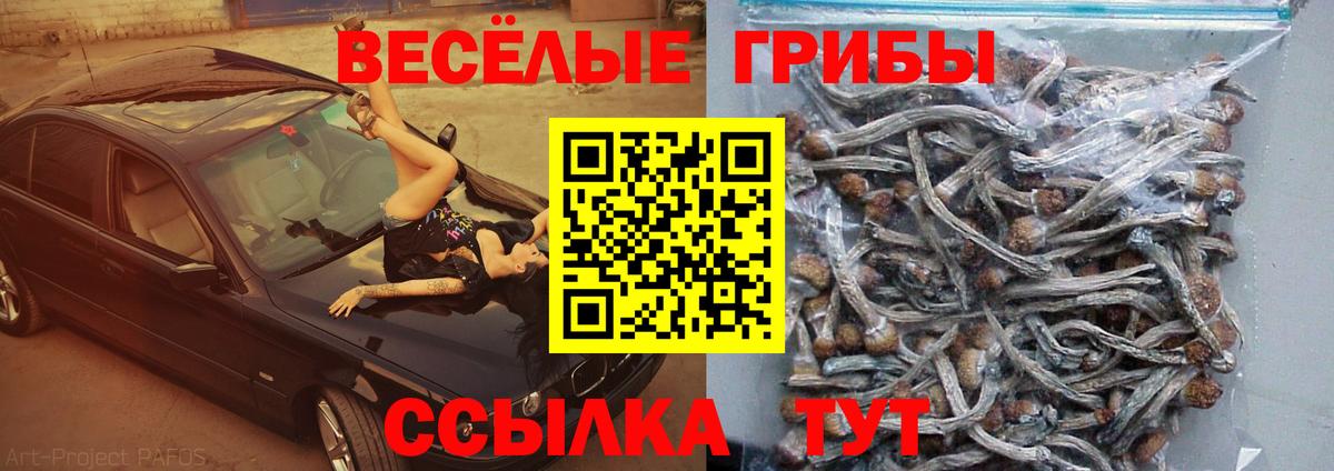 Псилоцибиновые грибы мицелий  Вход с VPN  наркота  Галлюциногенные грибы Cubensis  Егорьевск 