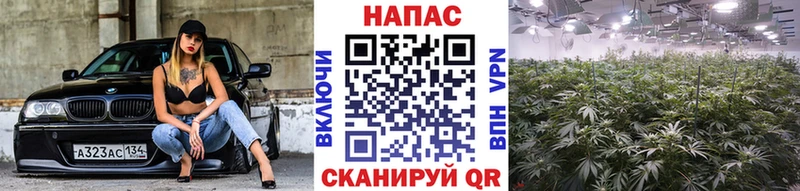 Конопля тримм Егорьевск